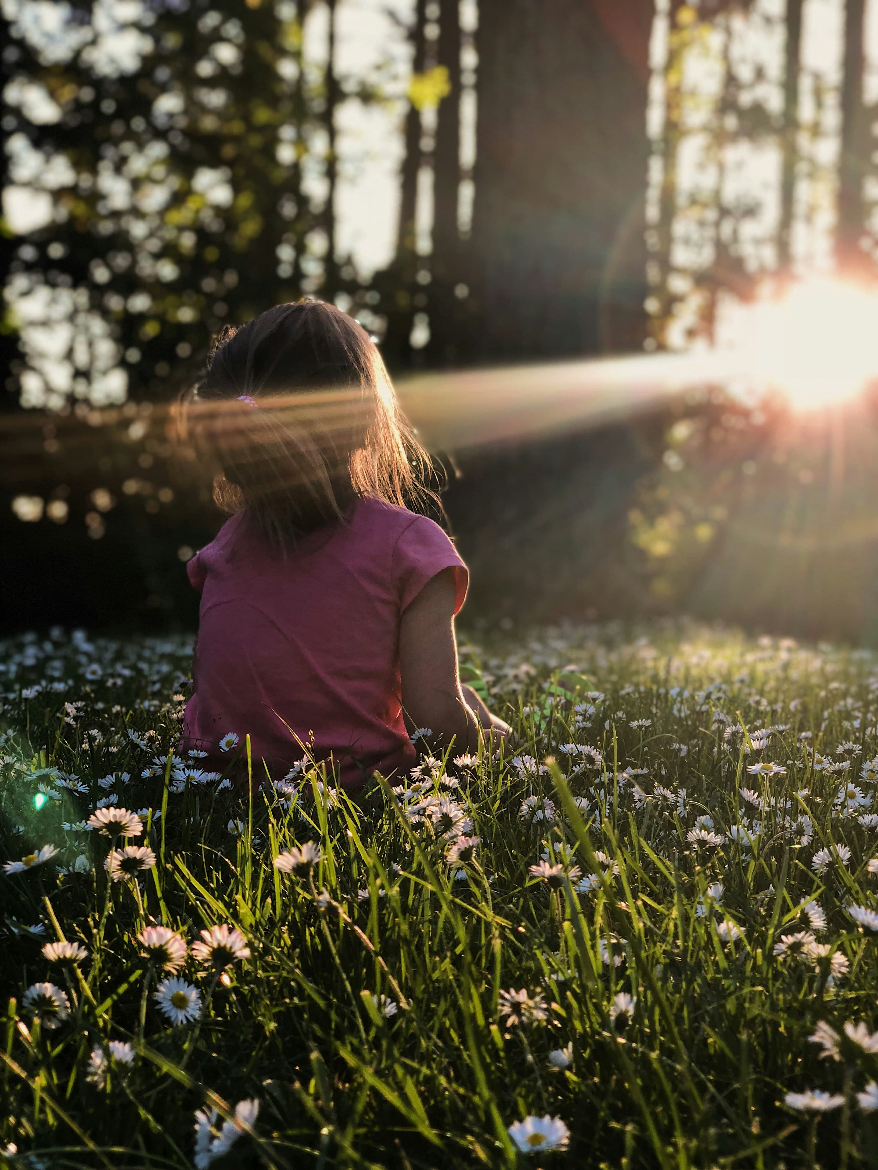 A child sitting in a sunlit meadow, representing a family's future